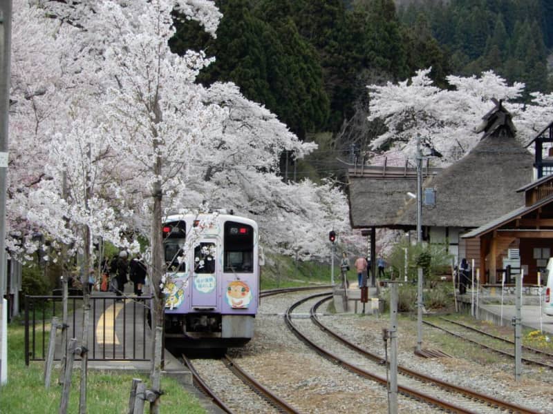 福島・湯野上温泉　茅葺屋根のある駅の隣で『足湯花見』が楽しめる！開花期間中は桜のライトアップも。