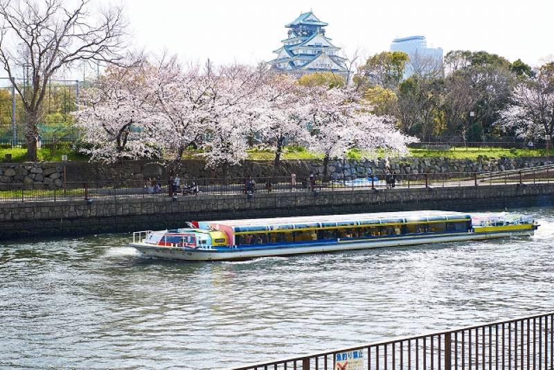 Osaka Castle Cherry Blossom Viewing Cruise with Osaka Metro 1-Day Ticket (April 4-1 only)