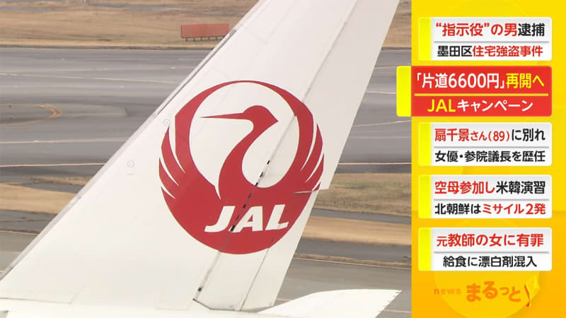 「国内線片道6600円」JALのキャンペーン　31日から再開へ アクセス集中で中止
