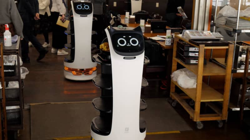 ネコ型配膳ロボットが10台! 人手不足に悩んだ千葉の料理店 フル活用のため改修も