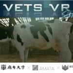 麻布大学、獣医療VR教材の第2弾「VETS VR～牛の分娩介助～」を産学連携で開発