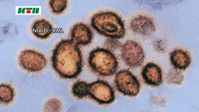 ⚡｜【速報】新型コロナ感染者　前週43人下回る71人