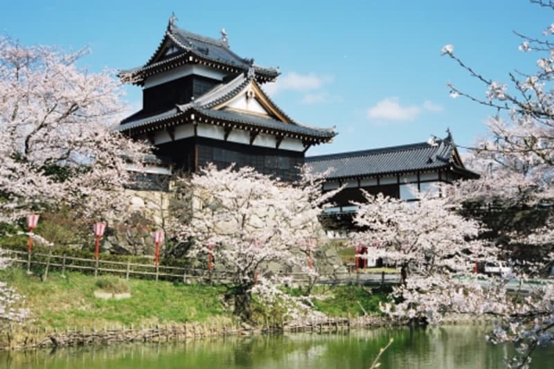 この春は奈良の魅力発見！「知れば知るほど奈良はおもしろい」キャンペーン