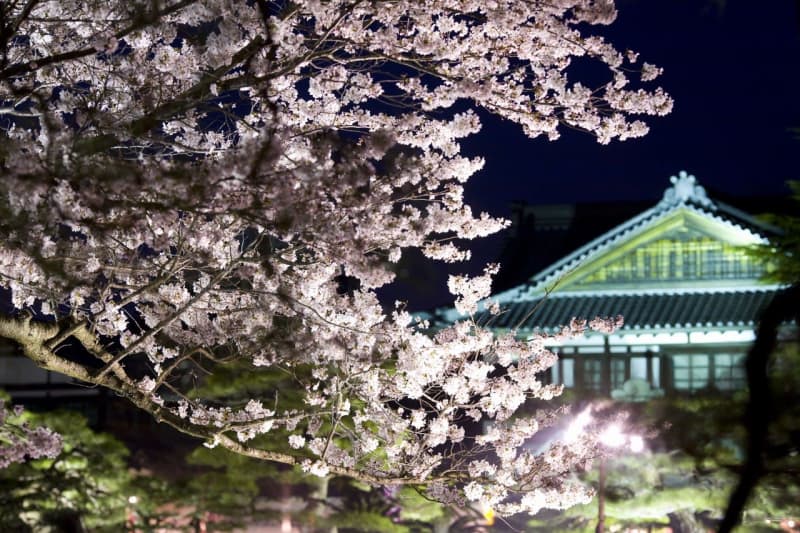 香川/高松「栗林公園春のライトアップ」3/31〜4/9開催。普段入れない夜の栗林公園で夜桜を鑑賞！