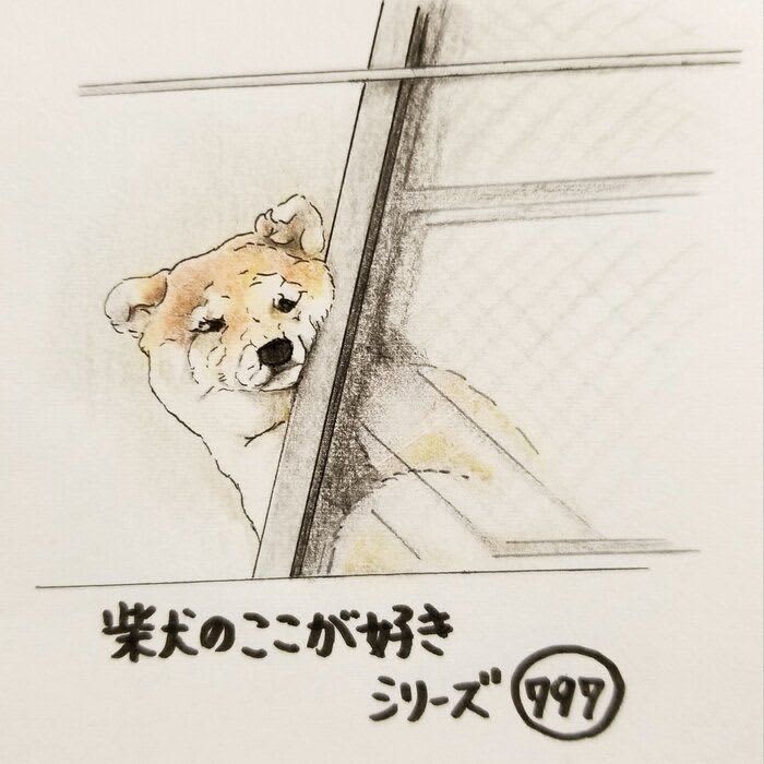 There is a Shiba Inu, seeing off until the last minute when the owner disappears | Serialization "Dig here, here Shiba ...