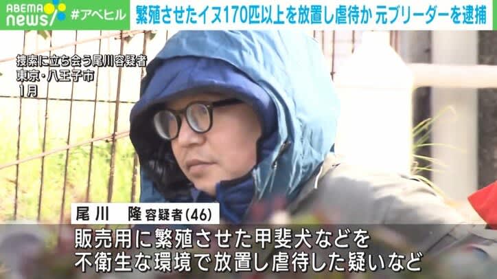 ⚡｜170匹以上の犬を放置し虐待した疑いなどで元ブリーダーの男逮捕 都からは48回の指導 東京・八王子市