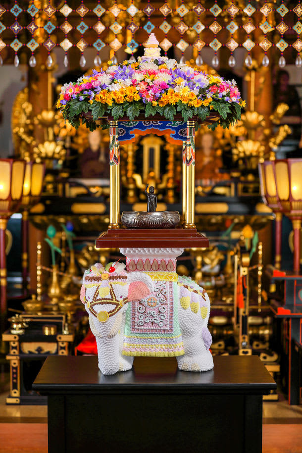 Artist Osamu Watanabe will bring a white elephant work wearing sweets that looks just like the real thing to Chiba Prefecture's "Inariyama Sorinji Temple" for the "Flower Festival".