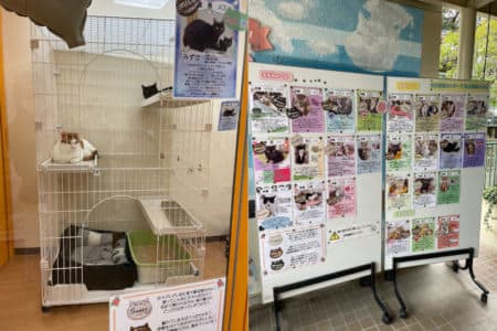 真城ホールディングスが名古屋市動物愛護センター愛護館へタオルを寄贈