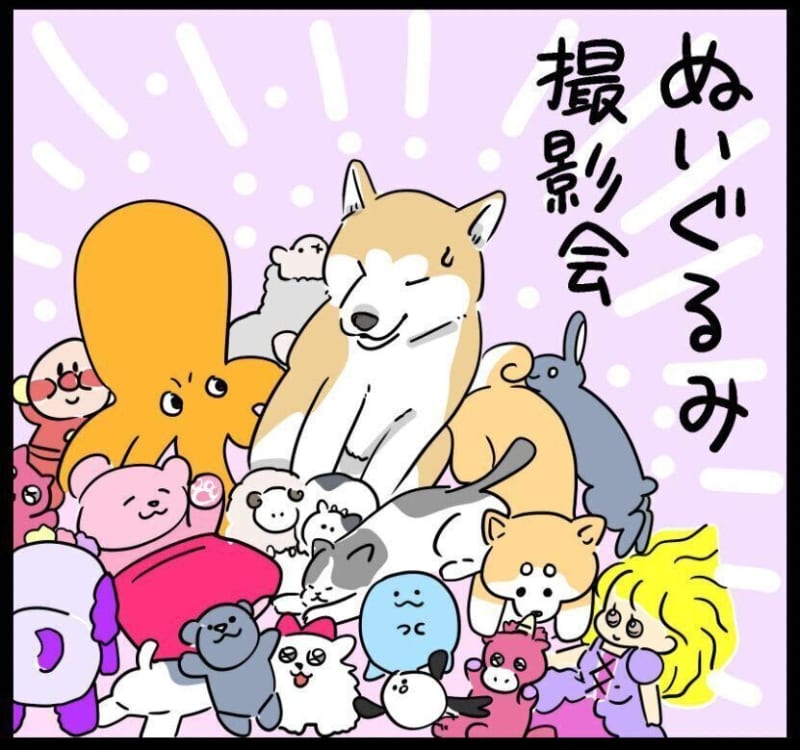 ぬいぐるみに囲まれた柴犬タロさん。チラリと向ける視線が訴えたこととは|連載「モフモフ柴…