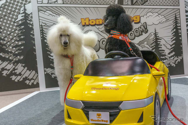 Honda proposes how to use a car that is gentle and convenient for pet owners ... Interpet 2023