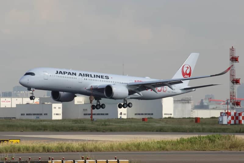 JAL resumes cheap campaign canceled due to rush of access What happened to usability with "system renovation"?