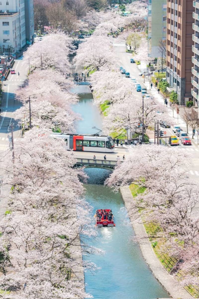 いろんなタイミングがバッチリ！　「富山の本気」追い続ける写真家も興奮した春の絶景「凄い瞬間が撮…