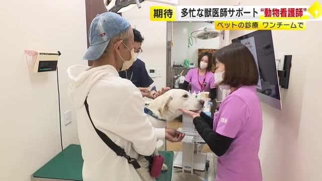 新たな国家資格「愛玩動物看護師」　４月から導入　ペット医療で獣医師をサポート　【福岡】