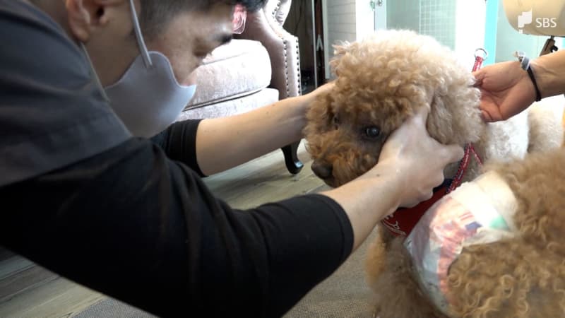 “往診”でペットと飼い主の支えに　高齢化にも対応　静岡県内でも進む新たな動物医療