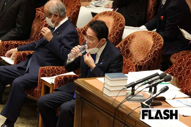 岸田首相「花粉症対策で結果出す」で飛び交う「花粉対策税」の恐怖　小池都知事も「花粉症ゼロ」公約…