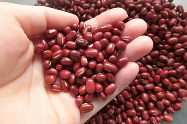 Polyphenols and dietary fiber are effective! "Mainichi Azuki" improves high blood pressure