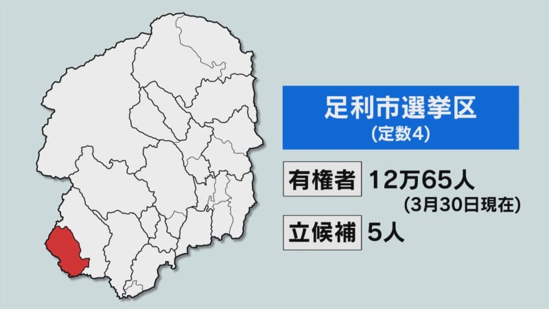 ２０２３栃木県議選　足利・栃木・佐野選挙区の候補者