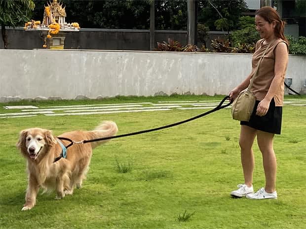 [Japan] [Business Note] An enthusiastic eye on the Thai boom of living richly with pets [service]