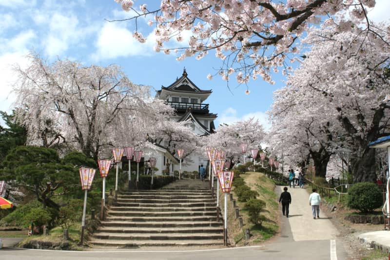 秋田　花と団子の「よこて桜まつり」4月15日から開催！　駅前で楽しめる横手温泉もオススメ