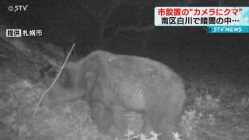 “体長約１ｍのクマ”その姿がカメラに…目撃相次ぐ札幌市南区