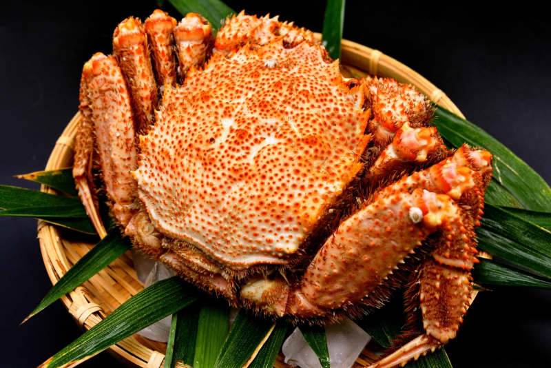 Ishikawa Kaga Onsen / Yamanaka Onsen "Hairy Crabs Directly from Hashidate Fishing Port" Spring to Autumn is the best season! Until 9/30 "Kisshoya ...