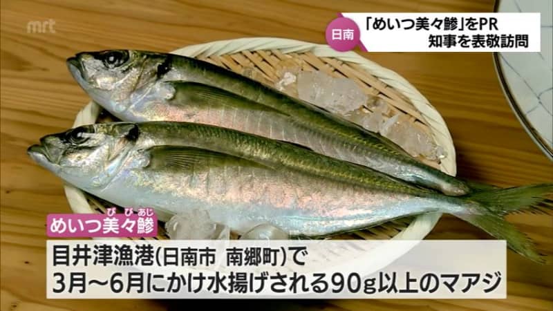Publicizing the brand fish “Meitsu Bimi Aji” from Nango Town, Nichinan City.