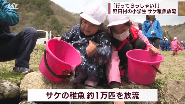 "Have a nice day!" Elementary school students release juvenile salmon [Iwate/Noda Village]
