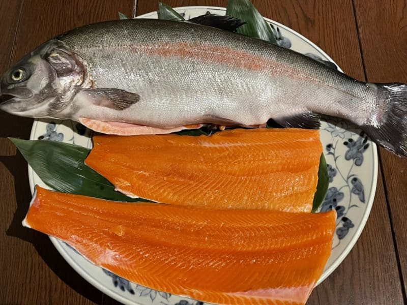 灘五郷の酒粕を食べて養殖　神戸産のご当地サーモン　春の新たな旬に期待　地元料理店にも登場