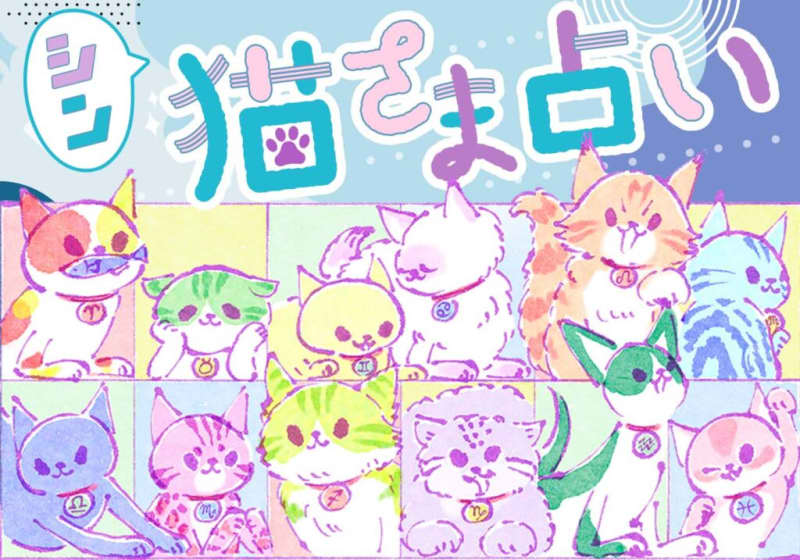 [Shin / Cat fortune-telling] Which cat will be the turning point for great luck? April 4th to April 17rd Fortune Ranking