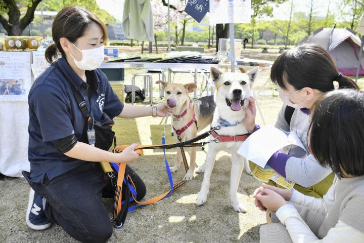 Rescued dogs and cats to new families Handover event in Matsuyama 10 groups in the prefecture participated