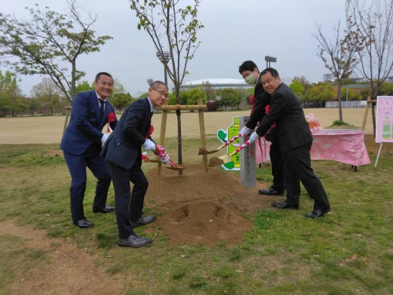 Planting cherry blossoms in Osaka's Nagai Park Presidents of Cerezo Osaka and others in Itoen's "My Town's Future Cherry Blossom Project"