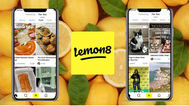 Instagram meets Pinterest: I tried Lemon8, the …