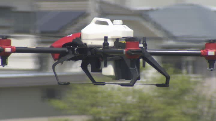 No operation required during spraying!Pesticide spraying with an automatically controlled drone Demonstration in a barley field in Chuo City Yamanashi