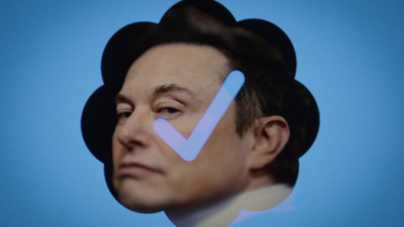 Elon Musk trollt Stars auf Twitter – Promi schl…