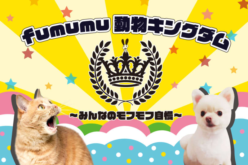 I burst out laughing at the Twin Nyan's "Chupafumi" video Each personality is too cute Relaxing with cute fluffy on holidays