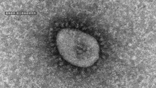先週より5割も多く…北海道感染507人確認　新型コロナウイルス