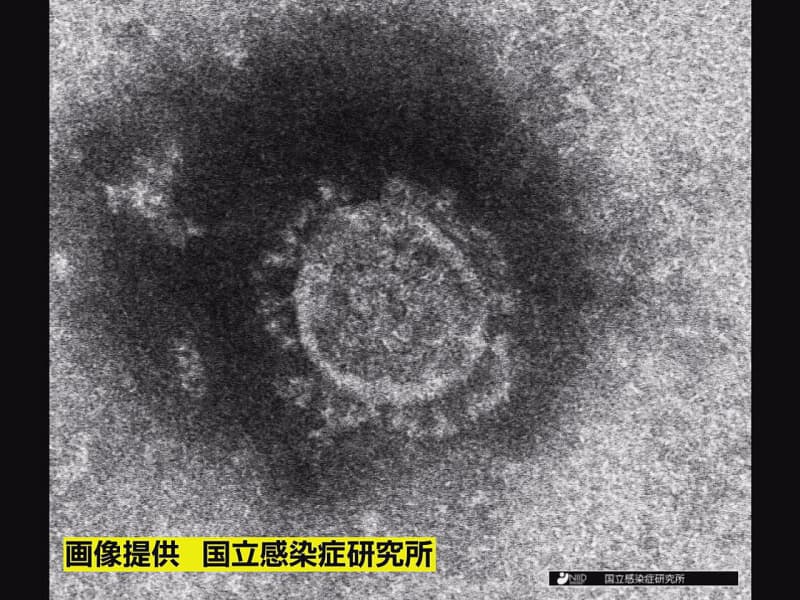 [Breaking news on the XNUMXrd] XNUMX people infected in Gifu Prefecture, no deaths