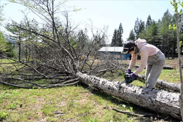 アウトドア、倒木に注意　相模原の死亡事故受け福島県内キャンプ場　大型連休控え安全対策強化