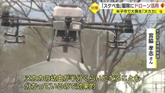 Before you know it, it's inside your clothes... Drones are used to exterminate "Nukaka", also known as "perverted insects" (Tottori, Yonago City)