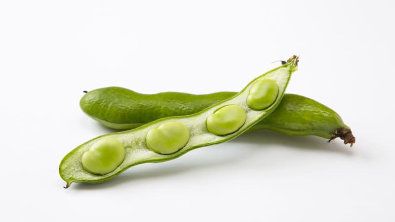 [Broad beans] Summary of nutrition, storage, how to peel, how to boil, and how long to boil