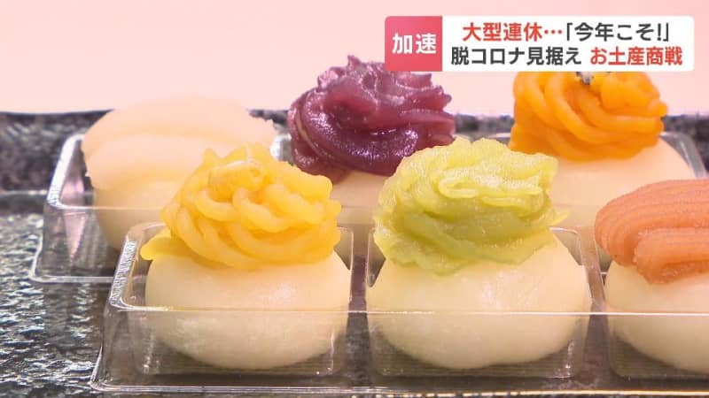 脱コロナ見据え…道産素材を活かしたスイーツがずらり！札幌のデパートで“お土産内覧会”はじまる　