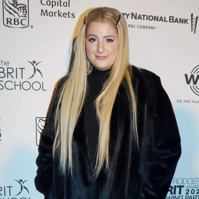 Meghan Trainor wants to get pregnant 'immediately' so she can have SIX  children with Daryl Sabara