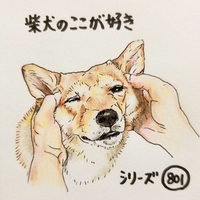 There is a Shiba Inu, and the owner's massage is so pleasant that I'm overwhelmed | Serialization "Dig here ...