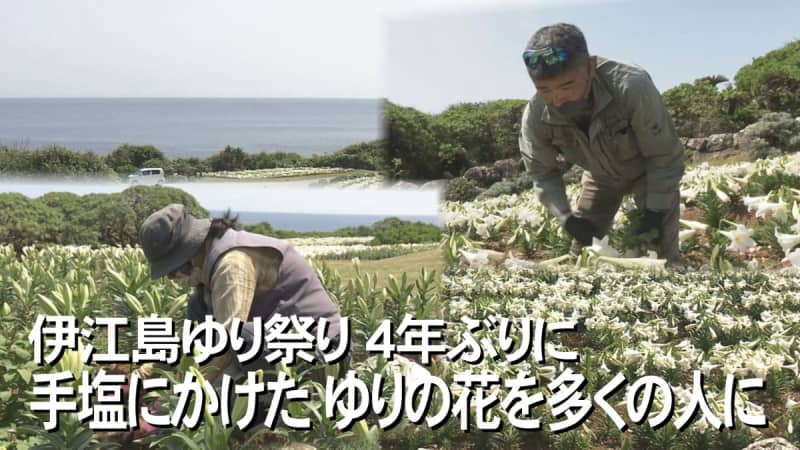 伊江島ゆり祭り「100万輪の純白の絨毯を楽しんで」新型コロナを乗り越えて4年ぶりに開催【沖縄発】