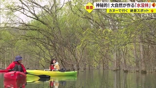 A flood of reservations "Submerged forest canoe tour" Enjoy the "mysterious scenery" only at this time in Iide Town [from Yamagata]