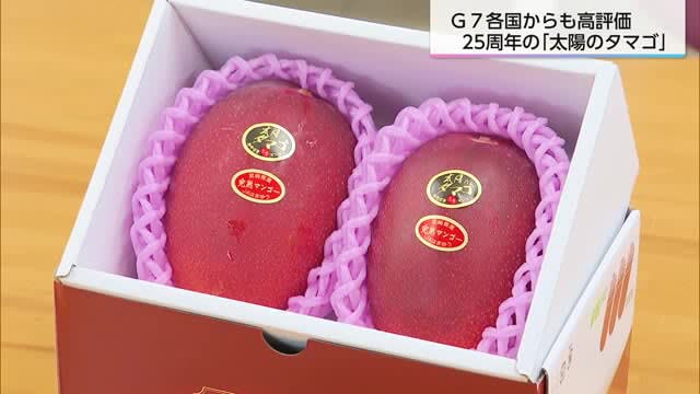 G7各国も高評価　「太陽のタマゴ」を知事へ贈呈　宮崎県