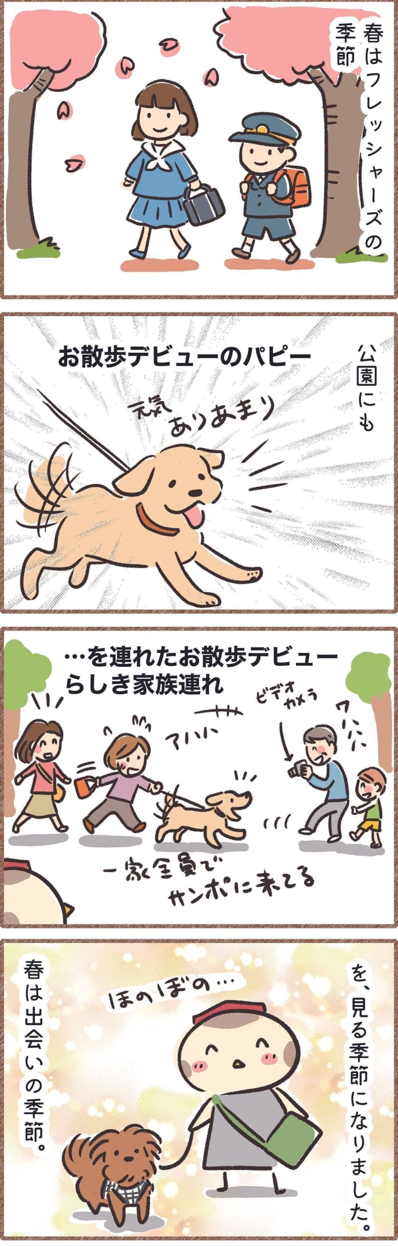 Spring is the season for dating.Smile at the park debut dog and family | Series "Koguma Inu Tensuke" vol...