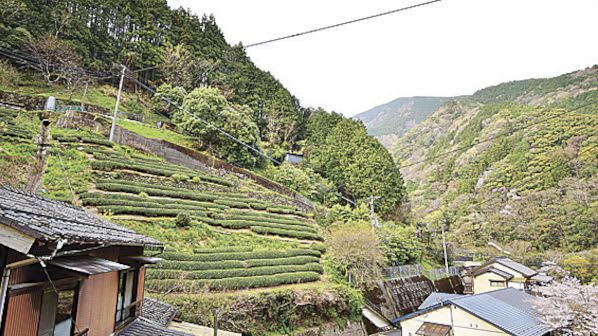 "Making the Yoshino River a sacred place where canoeing can be enjoyed all year round" Guest house, shops, and lessons to convey the charm Guest…