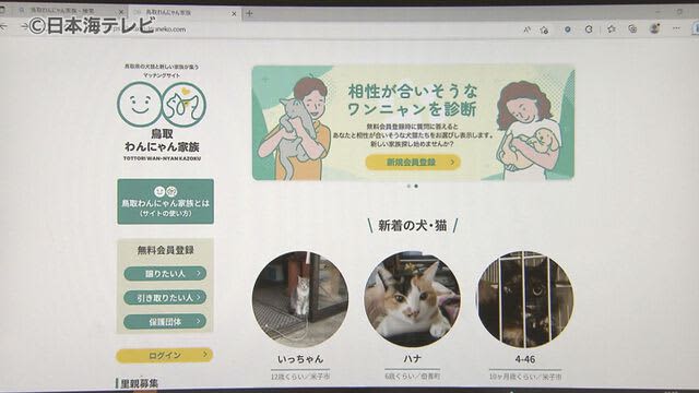 殺処分ゼロへ　犬猫のマッチングサイト開設『鳥取わんにゃん家族』　鳥取県
