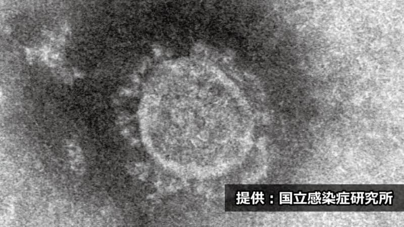 【28日速報】岐阜県内199人が新型コロナ感染　死亡確認なし